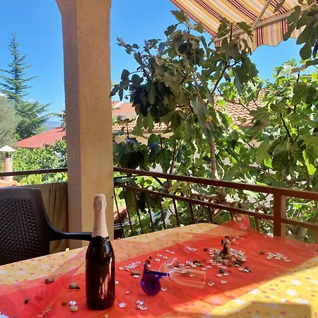 Santic Guest house 3*